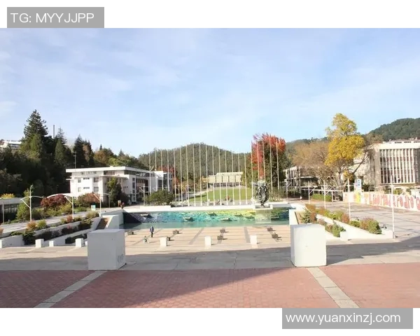 智力大学与特木科的学术对决与发展前景分析