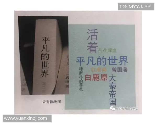 何文冲：从平凡到卓越的奋斗历程与人生启示