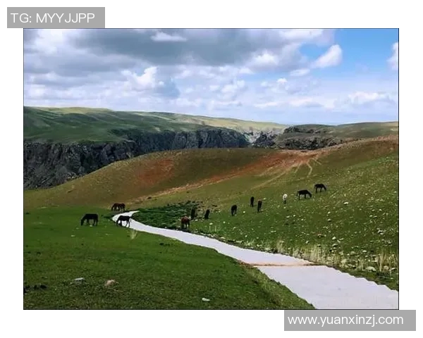 伊犁第十届足球比赛精彩直播盛况回顾与精彩瞬间分享 伊犁第十届足球比赛精彩直播盛况回顾与精彩瞬间分享